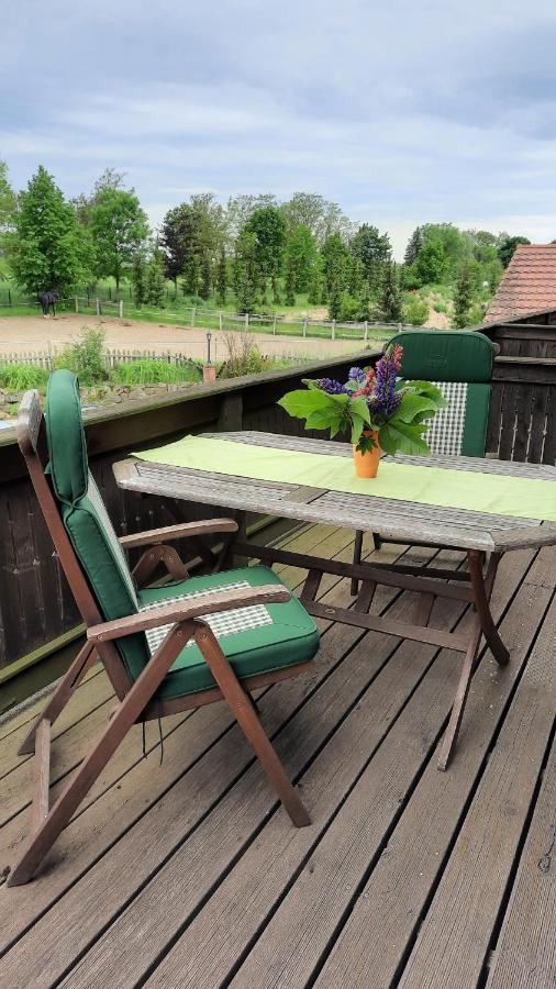 Schoenermarker Pferdeparadies Niederlandin Luaran gambar